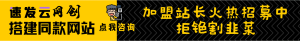 加盟首秀网,搭建同款项目资源站,实现日入2000+-首秀网